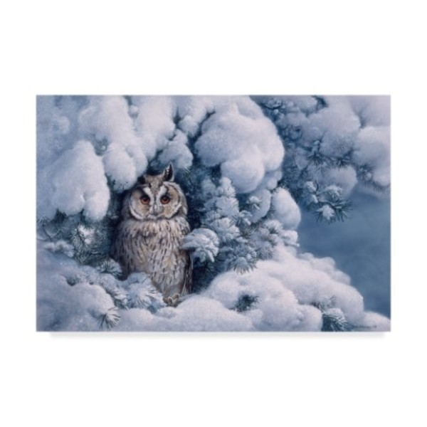 Trademark Fine Art Harro Maass 'Long Eared Owl In Snow' Canvas Art, 22x32 ALI35568-C2232GG